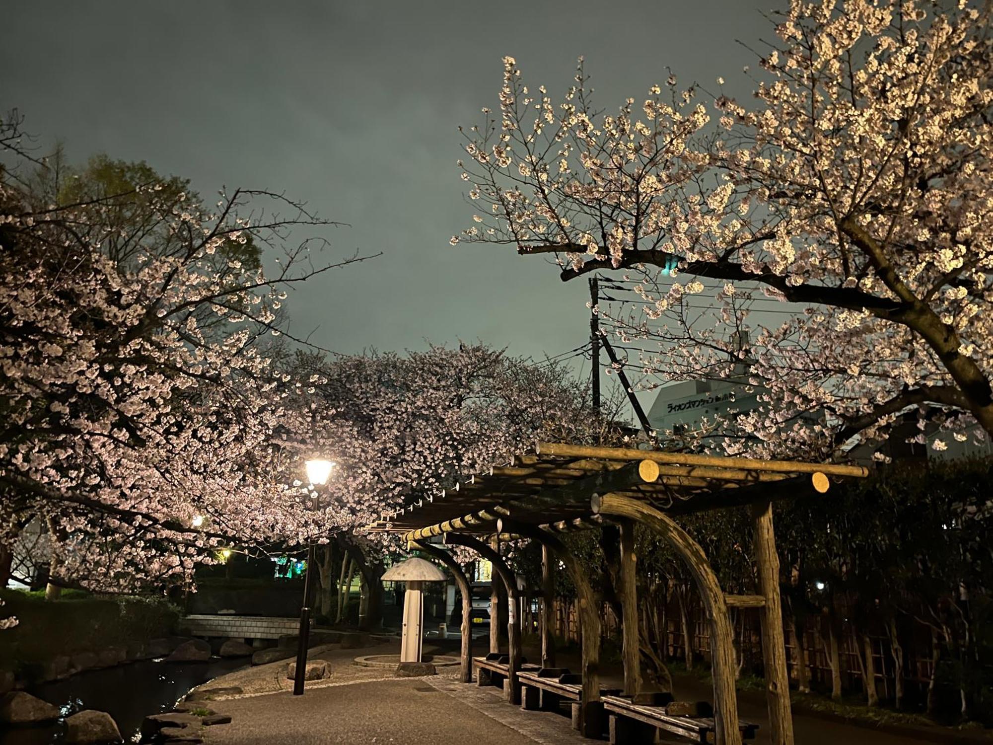 東京都松島雅居アパートメント エクステリア 写真